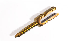 Screw 8777
